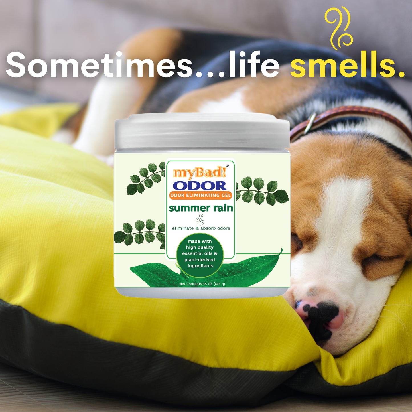 my Bad! Odor Eliminator Gel 15 oz - Summer Rain (2 PACK) Air Freshener - Eliminates Odors in Bathroom, Pet Area, Closets