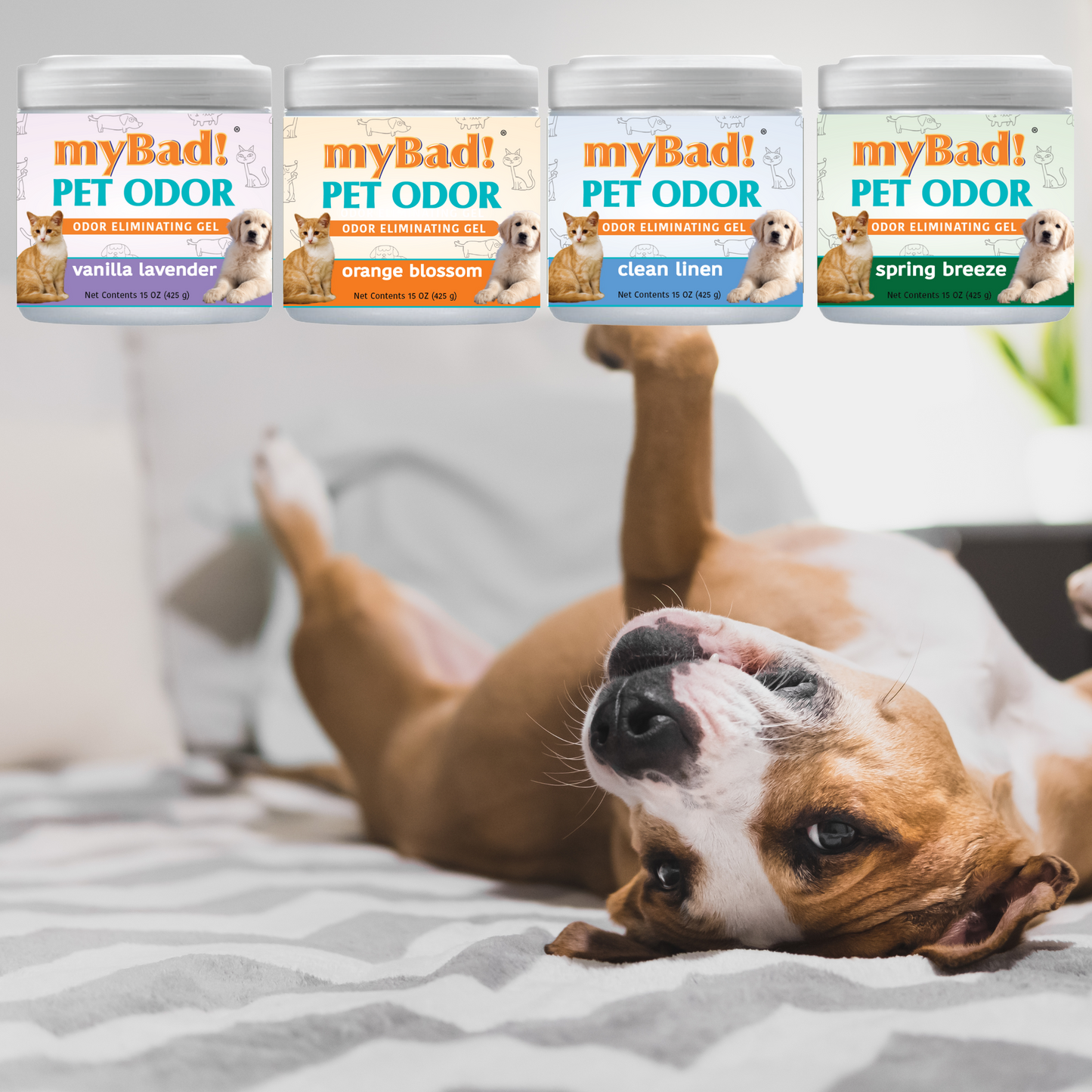 my Bad! Pet Odor Eliminator Gel 15 oz - Orange Blossom (3 PACK), Air Freshener - Eliminates Odors in Pet Area, Bathroom, Closet, and more