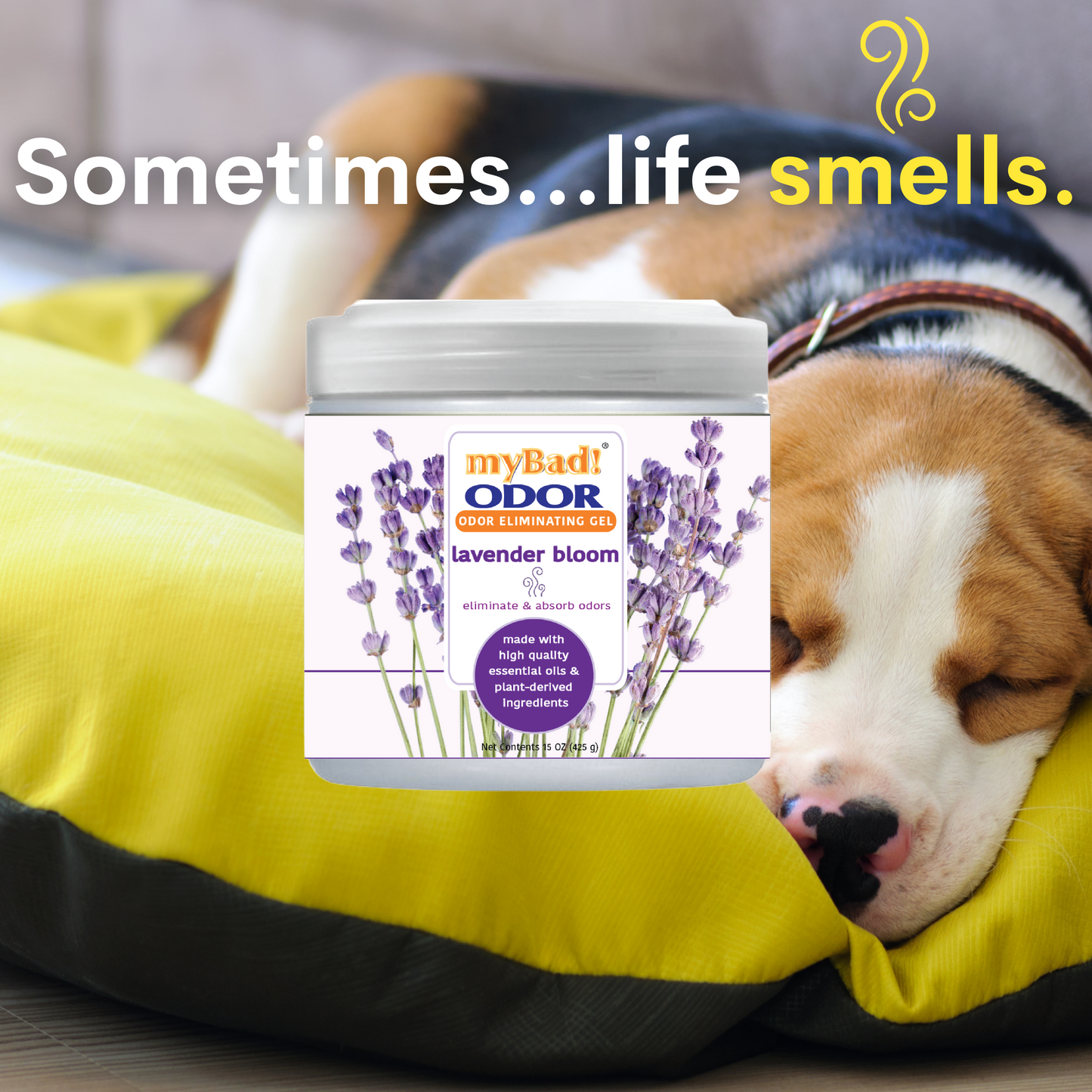 my Bad! Odor Eliminator Gel 15 oz - Lavender Bloom (2 PACK) Air Freshener - Eliminates Odors in Bathroom, Pet Area, Closets