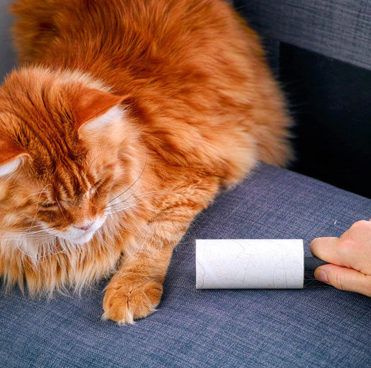 my Bad Pet Lint Roller 3 Pack- 1 Handle 3 Refills