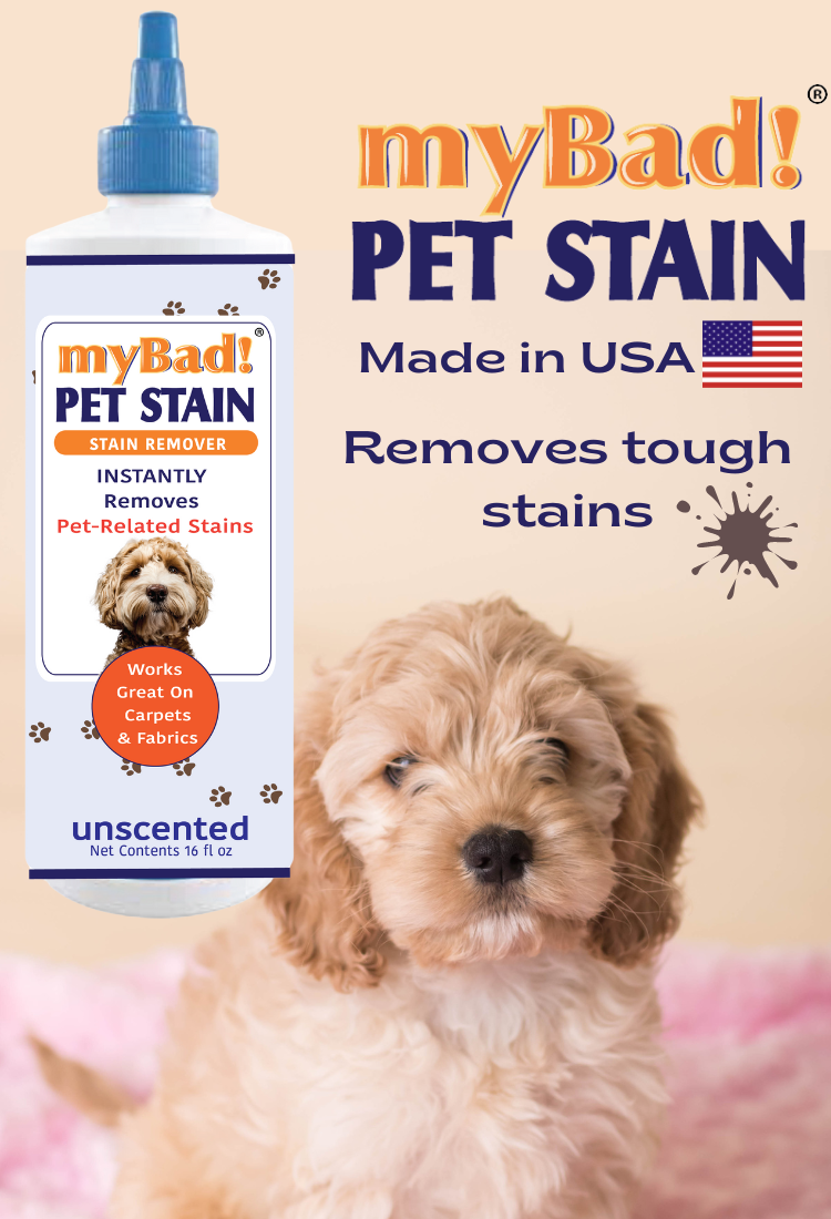 my Bad! Pet Stain Remover 16 oz (3 PACK)