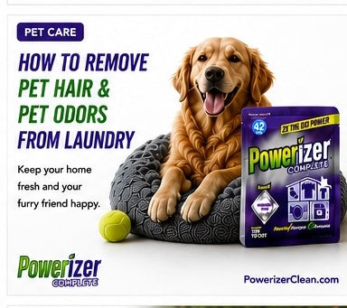 Happy National Dog Day! How to Keep Your Home and Pet Gear Fresh Safely