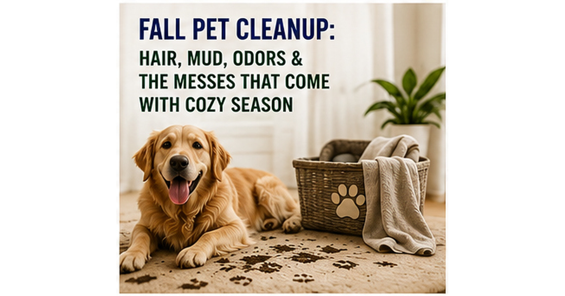 Fall pet cleanup for hair, muddy paws and everyday pet messes