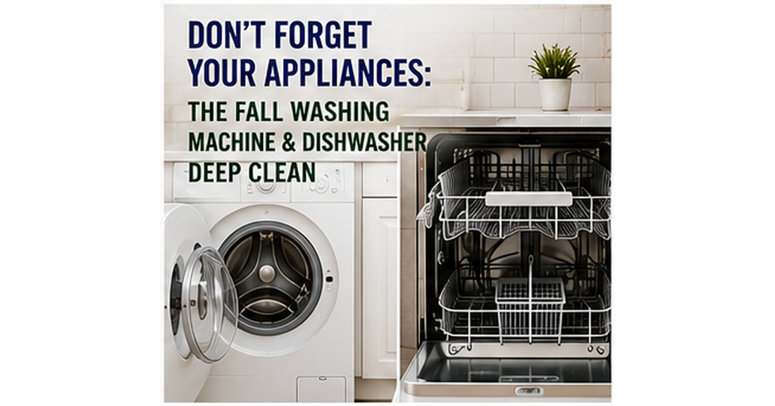 Fall deep cleaning of a washing machine and dishwasher