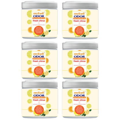 my Bad! Odor Eliminator Gel 15 oz - Fresh Citrus (6 PACK) Air Freshener - Eliminates Odors in Bathroom, Pet Area, Closets