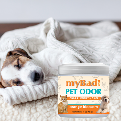 my Bad! Pet Odor Eliminator Gel 15 oz - Orange Blossom,  Air Freshener - Eliminates Odors in Pet Area, Bathroom, Closet, and more