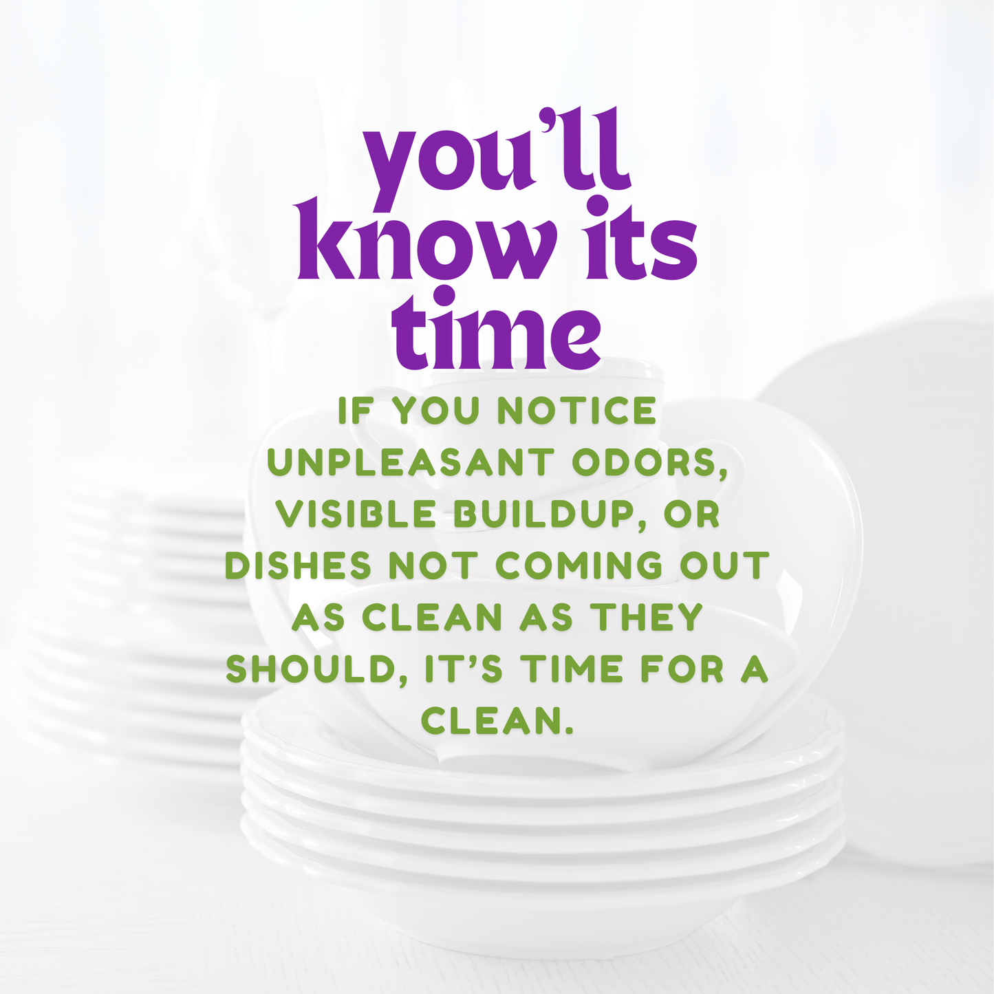 Powerizer Dishwasher Machine Cleaner Pods, 12 Count | Deep Clean Your Dishwasher Machine | Removes Odor & Buildup | Eco-Friendly, Biobased, Non-Toxic Formula