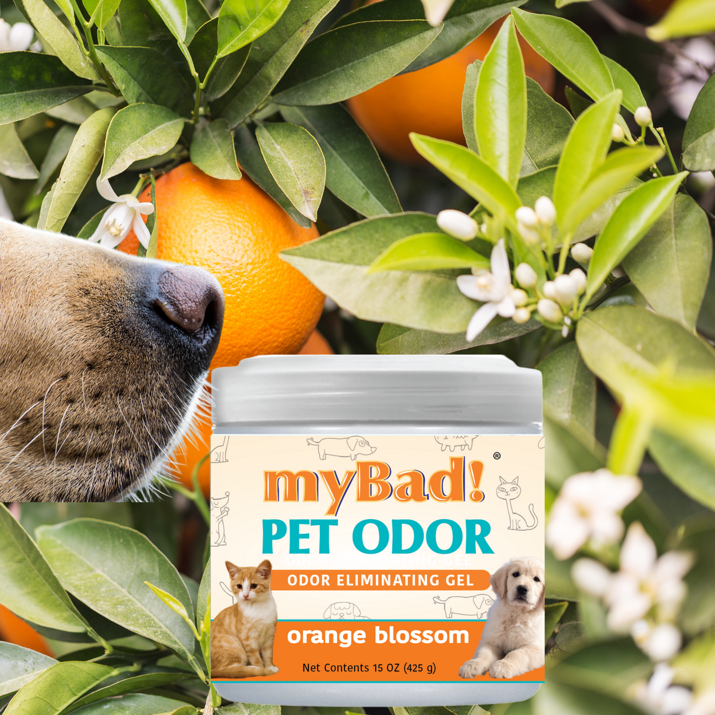 my Bad! Pet Odor Eliminator Gel 15 oz - Orange Blossom,  Air Freshener - Eliminates Odors in Pet Area, Bathroom, Closet, and more